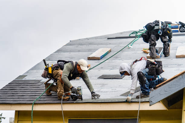 Professional Gutter Installation technician working in Waukon, IA